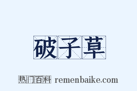 破子草是什么意思的图片